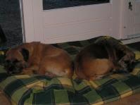 Klik op de foto voor groter formaat